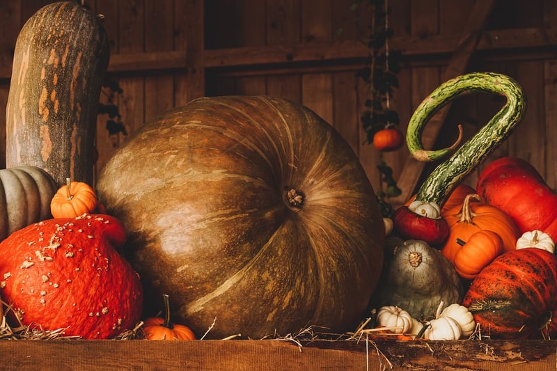 Pumpkin Patch Party